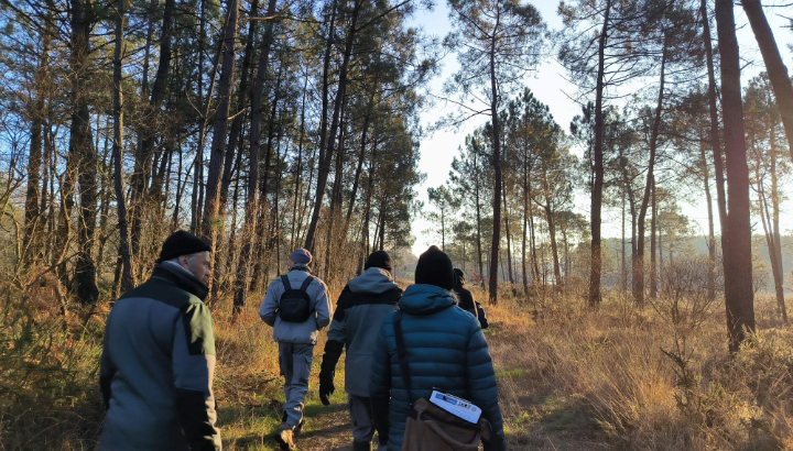 Formation SHOC : 10 agents OFB formés au suivi hivernal des oiseaux en Bretagne et Pays de Loire